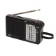 Radio Portabil 2 Benzi Negru Rpc5