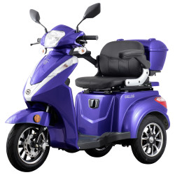 Triciclu Electric Samus Dallas 3r1-10t1000-60v20 Albastru 1000w 25km/h + Civ