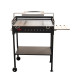 Gratar Gradina Din Otel Lemn-carbune Fm Grill  Premium 67x40cm