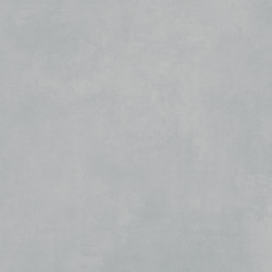 Gresie Portelanata Cesarom Extra Darv9723 Gri Deschis 120x60 Cm 6493-0092 Rectificata Interior/exterior (1.44mp/cut)
