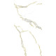 Gresie Portelanata Dunca Golden Filip Cal I 120x60 Cm Rectificata Interior/exterior ( 1.44mp/cut)