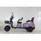 Triciclu Electric Rdb Cargo 25km/h Violet + Civ