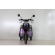 Triciclu Electric Rdb Cargo 25km/h Violet + Civ