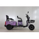 Triciclu Electric Rdb Cargo 25km/h Violet + Civ