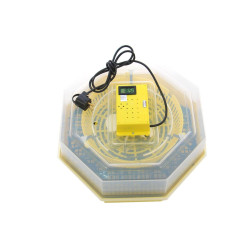 Incubator Electric Inc3 Cleo 5dt