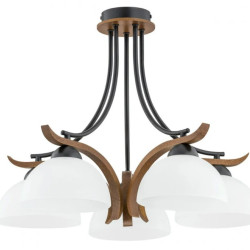 Lustra Bran 5 Kl 105007