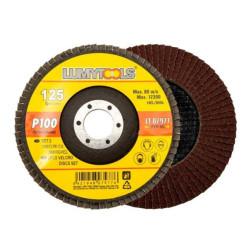 Set 2 Discuri Cu Smirghel. 125 Mm.  P100