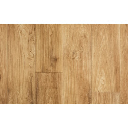 Linoleum Evolution Wagner 4m