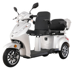 Triciclu Electric Samus Dallas 3r2-10t1000-60v20 Silver 1000w 25km/h + Civ