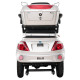 Triciclu Electric Samus Dallas 3r2-10t1000-60v20 Silver 1000w 25km/h + Civ