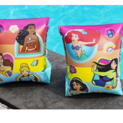Brasiere Disney Princess 23x15 Cm
