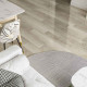 Parchet Laminat Lucios Gloosy Floor Wood Art Loire Ac3 8mm(2.0462mp/pac)