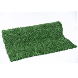 Plasa De Gard Viu Ornamentala Verde 1500x10x43x43