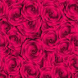 Mocheta Runner Microfibra Roses Sj-z19 0.66m
