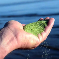 Solutii Piscina Afm-mediu Activat De Filtrare