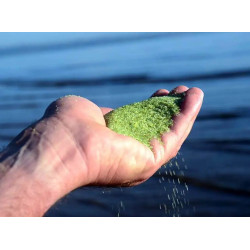 Solutii Piscina Afm-mediu Activat De Filtrare