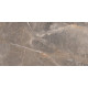 Gresie Portelanata Premier Alanya Brown Polished 120x60 Cm Rectificata Interior/exterior 1.44 Mp/cut)