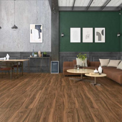 Parchet Laminat Kastamonu Astana  Fsx04 8mm Ac4 1205x197mm (2.374mp/cut)