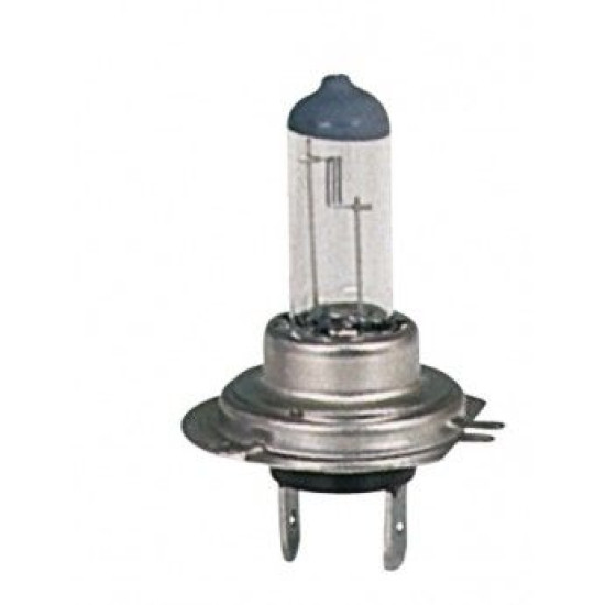 Bec Halogen H7 12v55w