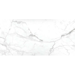 Gresie Portelanata Cesarom Lux Spider Alb Mat 120x60 Cm 6493-0074 Rectificata Interior/exterior (1.44 Mp/cut)