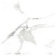 Gresie Portelanata Regata Carrara Bianco Glossy 60x60 Cm Rectificata Interior/exterior (1.44 Mp/cut)