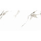 Gresie Portelanata Premier Carrara Alb Lucios 120x60 Cm Rectificata Interior/exterior (1.44mp/cut)