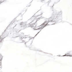 Gresie Premier Ava Tip Marmura Lucioasa 61x61 Cm Interior(1.49mp/cutie)