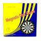 Joc Cu Sageti Magnetic 17 Inch