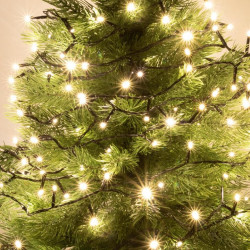 Ghirlanda Cu Led-uri Pt Interior Alb Cald 100 X Led