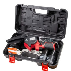 Mini-fierastrau De Gradina Raider 12v 4'' 2x2ah Cu 3 Lanturi Rd-gp24