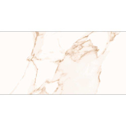 Faianta Oslo Beige Lucios Int. 29.6/59.6 (1.41 Mp/cut)