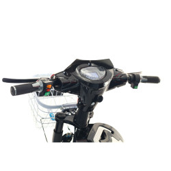 Scuter Electric Rdb Dunarea Negru 450w + Civ