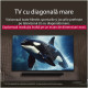 Televizor Lg Led 55ua74003lb 139cm Smart 4k Ultra Hd Clasa G