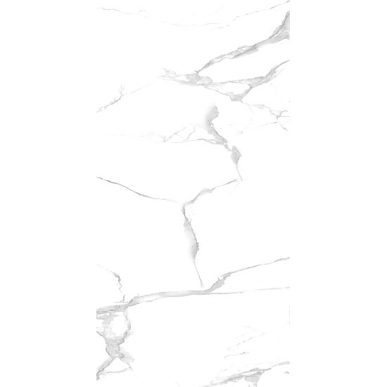 Gresie Bianco Carrara 60x120 Rect. (1.44mp/cut)