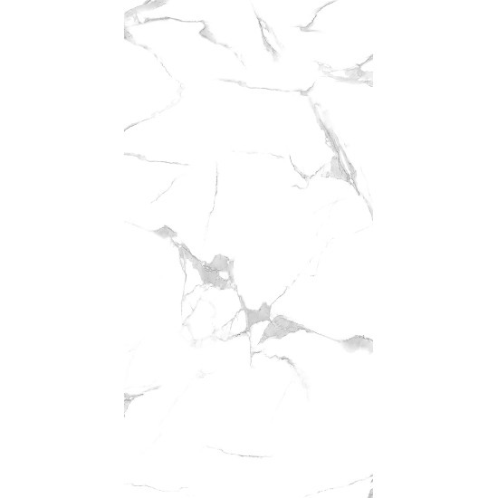 Gresie Bianco Carrara 60x120 Rect. (1.44mp/cut)