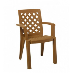 Scaun Plastic Erguvan Ct007 Maro
