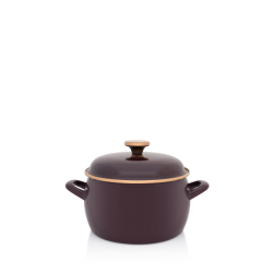 Cratita Adanca Princ Bordo Emailata 20cm Cu Capac Metalac