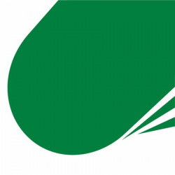 Vopsea Email Ideea Lemn/metal Kober Int/ext Verde Luminos 0.75l