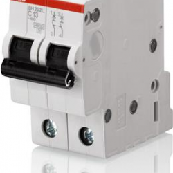 Siguranta Ab Intr Auto 32a 2p C 4.5ka Sh202-l