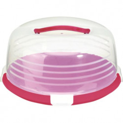Platou Tort Cu Capac 26x26x14 Cm
