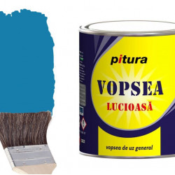 Vop.lucioasa Pitura Albastru 0.6l