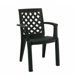 Scaun Plastic Erguvan Verde Inchis Ct007