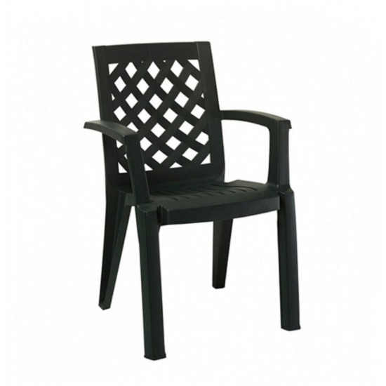 Scaun Plastic Erguvan Verde Inchis Ct007